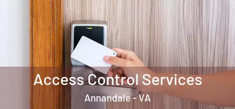 Access Control Services Annandale - VA