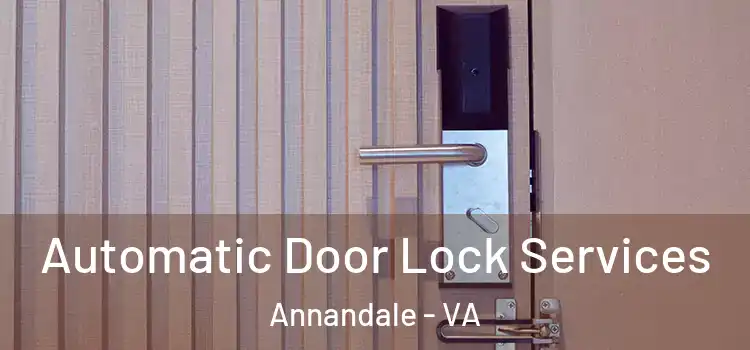 Automatic Door Lock Services Annandale - VA