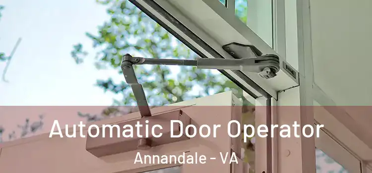Automatic Door Operator Annandale - VA