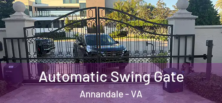 Automatic Swing Gate Annandale - VA