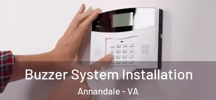 Buzzer System Installation Annandale - VA