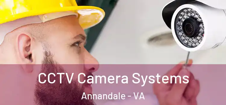 CCTV Camera Systems Annandale - VA