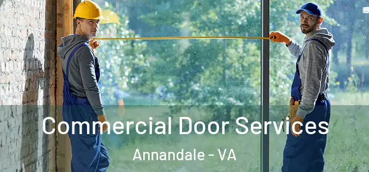Commercial Door Services Annandale - VA