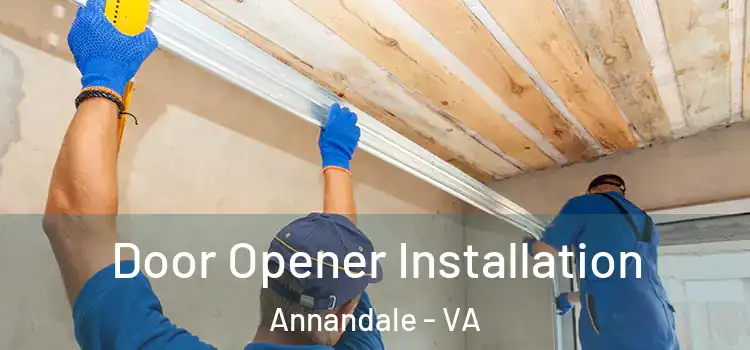 Door Opener Installation Annandale - VA
