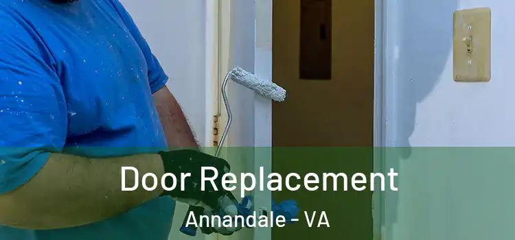Door Replacement Annandale - VA
