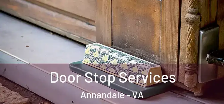 Door Stop Services Annandale - VA