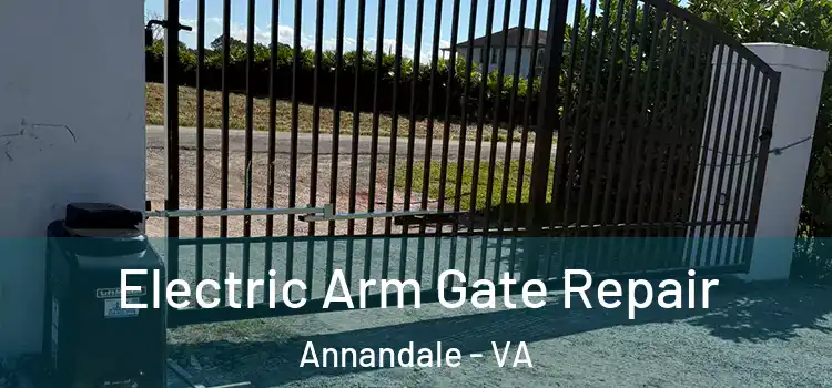 Electric Arm Gate Repair Annandale - VA