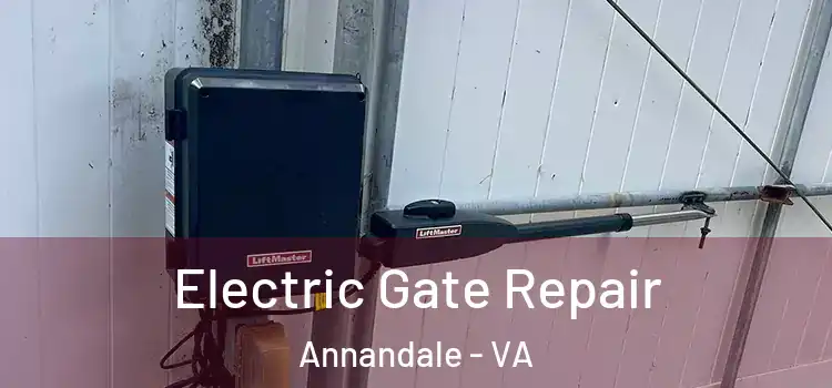 Electric Gate Repair Annandale - VA