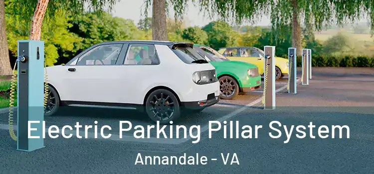 Electric Parking Pillar System Annandale - VA