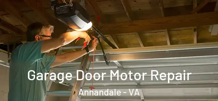  Garage Door Motor Repair Annandale - VA