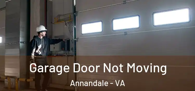  Garage Door Not Moving Annandale - VA