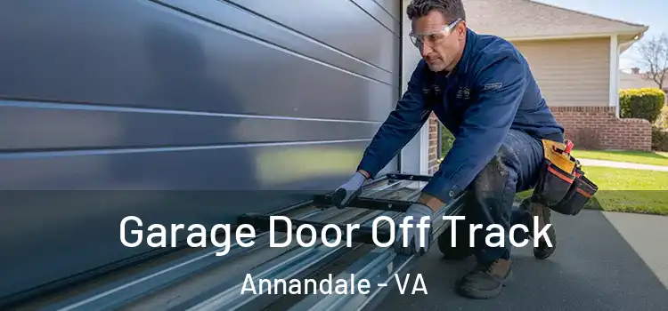  Garage Door Off Track Annandale - VA