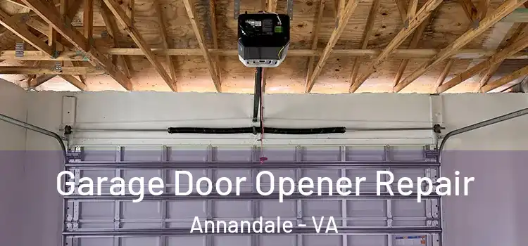  Garage Door Opener Repair Annandale - VA