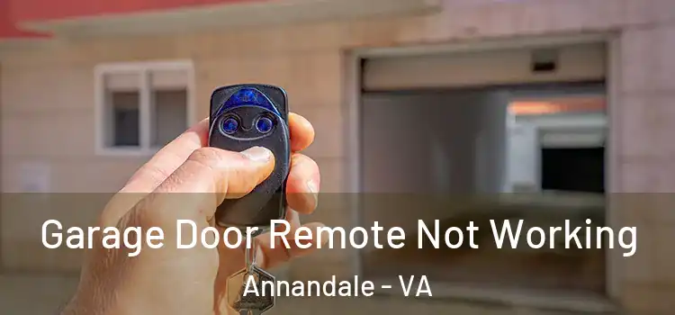  Garage Door Remote Not Working Annandale - VA