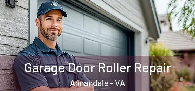  Garage Door Roller Repair Annandale - VA