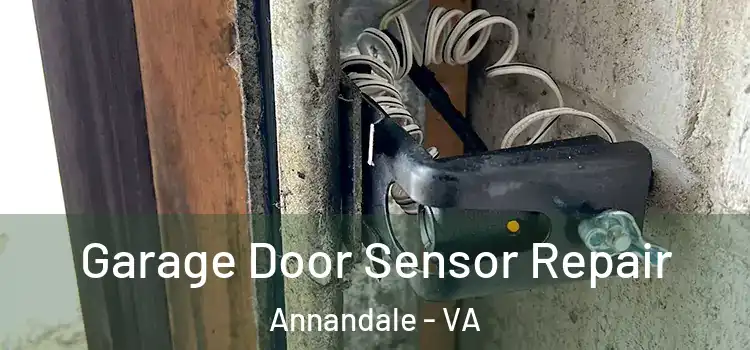 Garage Door Sensor Repair Annandale - VA
