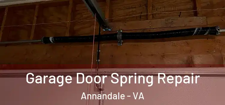  Garage Door Spring Repair Annandale - VA
