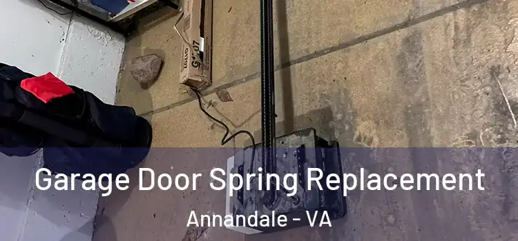  Garage Door Spring Replacement Annandale - VA