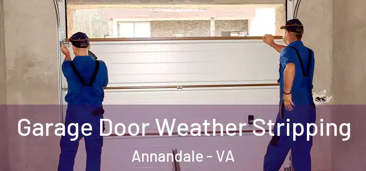  Garage Door Weather Stripping Annandale - VA