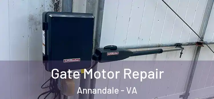 Gate Motor Repair Annandale - VA