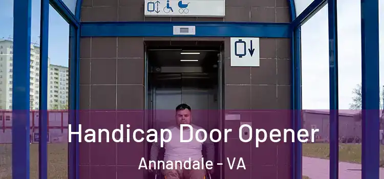 Handicap Door Opener Annandale - VA