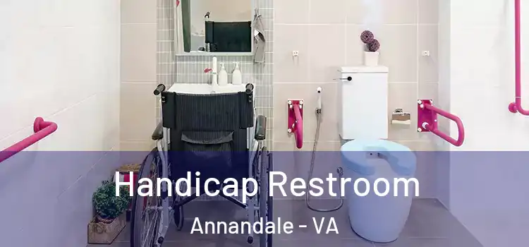 Handicap Restroom Annandale - VA