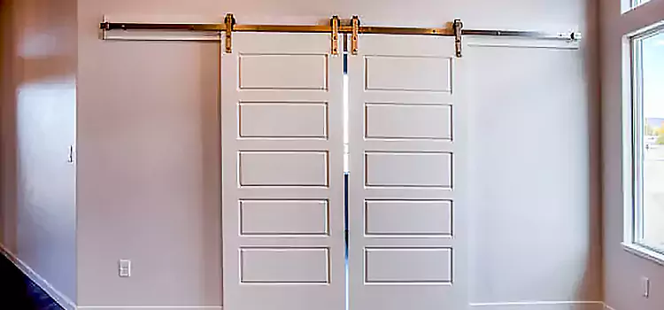 Glass Barn Door with Installation Hardware Kit Annandale