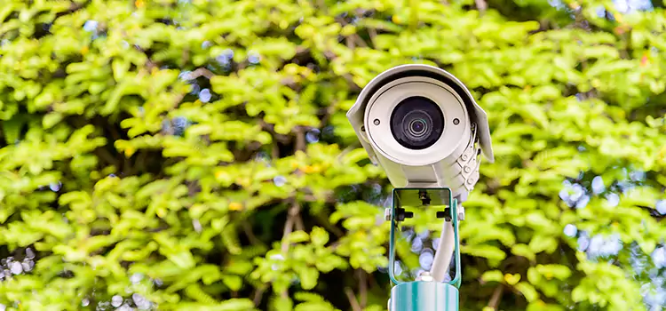 Advanced Surveillance Solutions for Every Need in Annandale