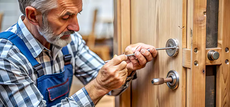 Mortise Replacement Lock Annandale