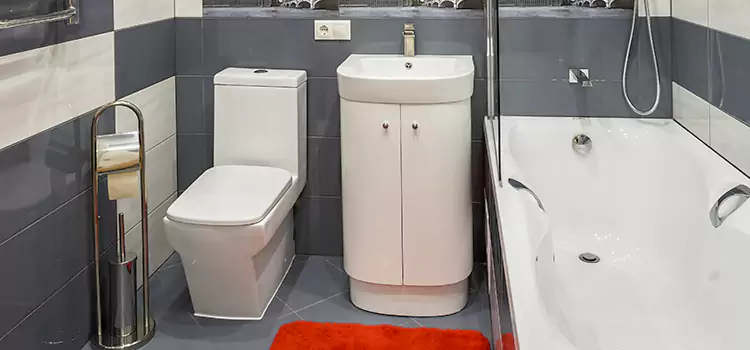 Hansgrohe Shaving Mirror Annandale