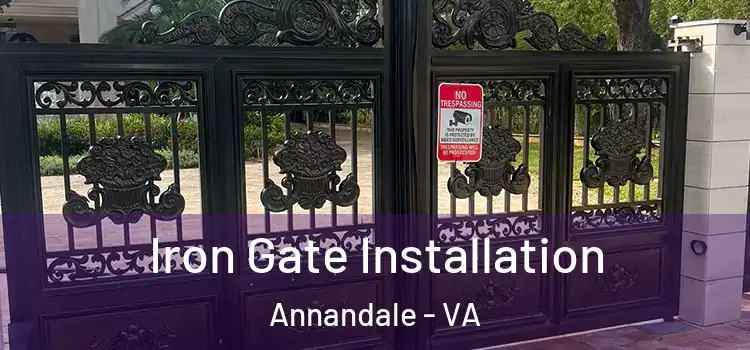 Iron Gate Installation Annandale - VA