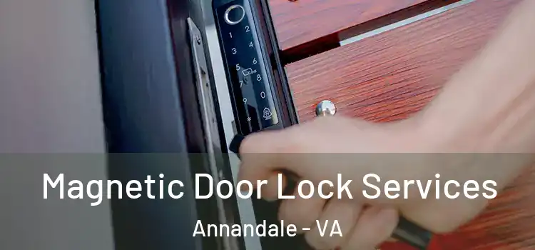 Magnetic Door Lock Services Annandale - VA