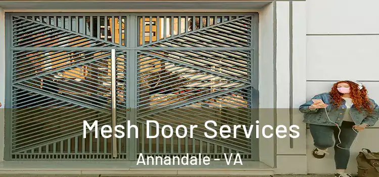 Mesh Door Services Annandale - VA