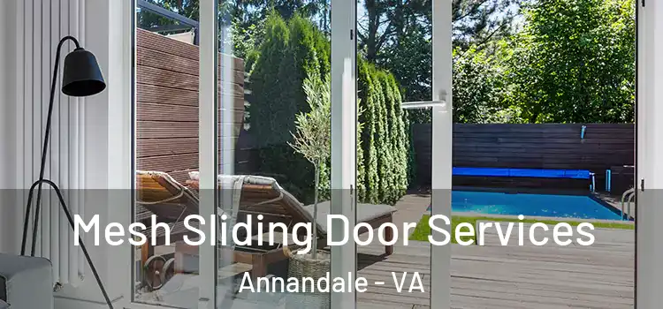 Mesh Sliding Door Services Annandale - VA