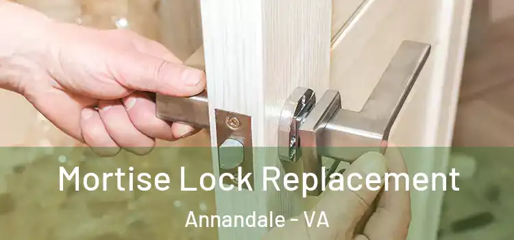 Mortise Lock Replacement Annandale - VA