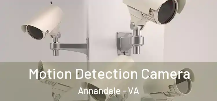  Motion Detection Camera Annandale - VA
