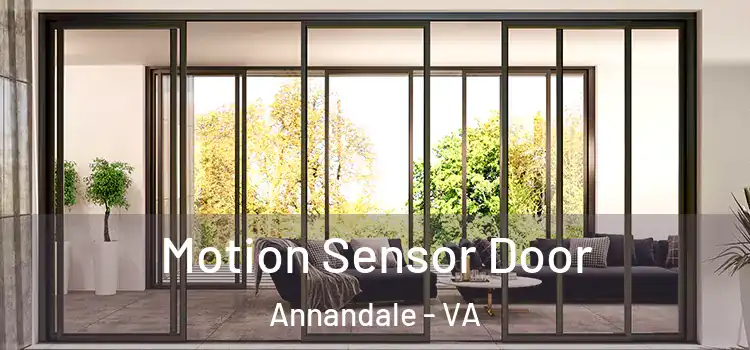 Motion Sensor Door Annandale - VA