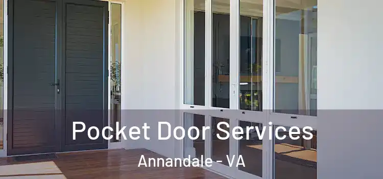 Pocket Door Services Annandale - VA