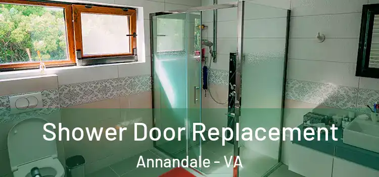 Shower Door Replacement Annandale - VA
