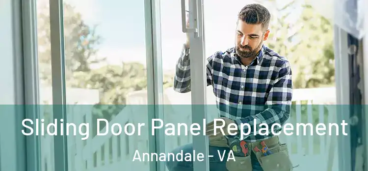 Sliding Door Panel Replacement Annandale - VA