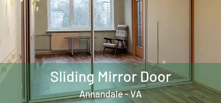  Sliding Mirror Door Annandale - VA
