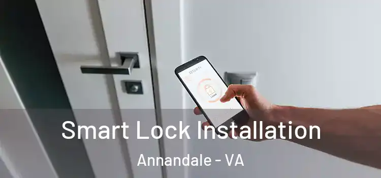 Smart Lock Installation Annandale - VA
