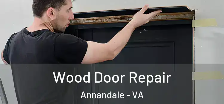 Wood Door Repair Annandale - VA
